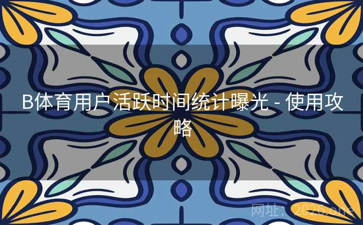 B体育用户活跃时间统计曝光 - 使用攻略