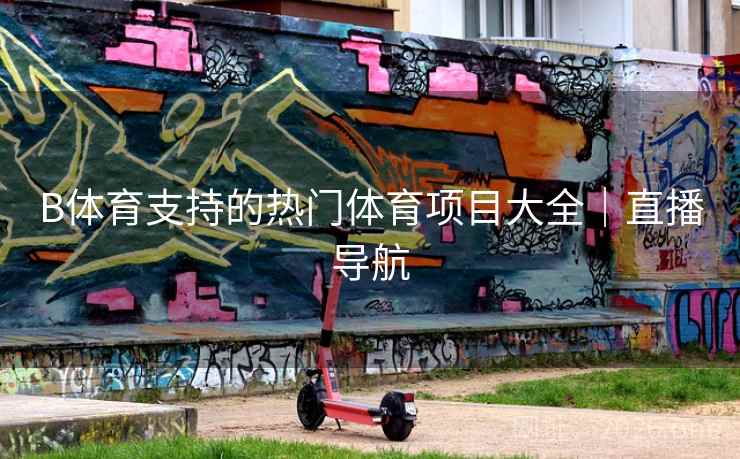 B体育支持的热门体育项目大全｜直播导航