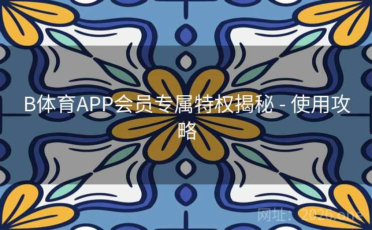B体育APP会员专属特权揭秘 - 使用攻略