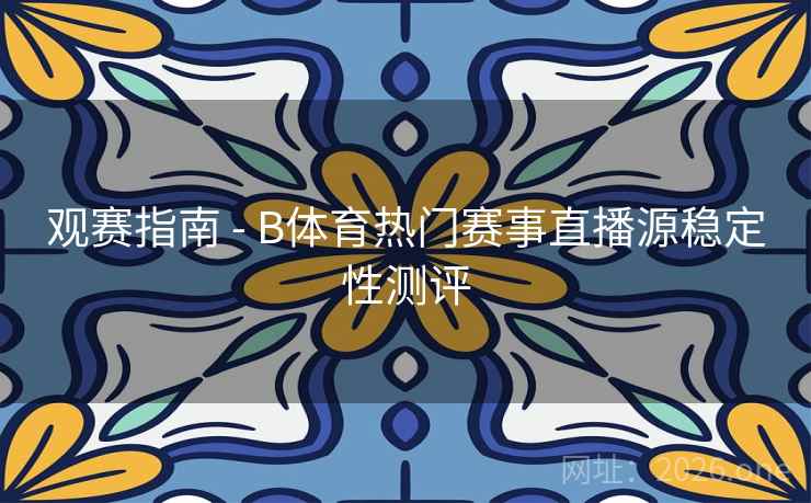 观赛指南 - B体育热门赛事直播源稳定性测评