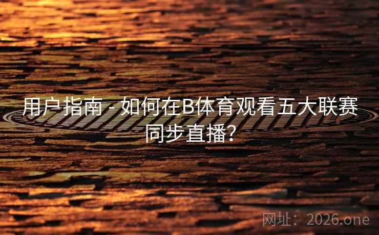 用户指南 - 如何在B体育观看五大联赛同步直播？