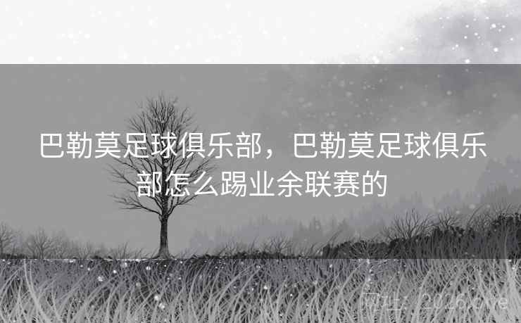 巴勒莫足球俱乐部，巴勒莫足球俱乐部怎么踢业余联赛的