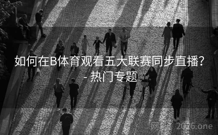 如何在B体育观看五大联赛同步直播？ - 热门专题