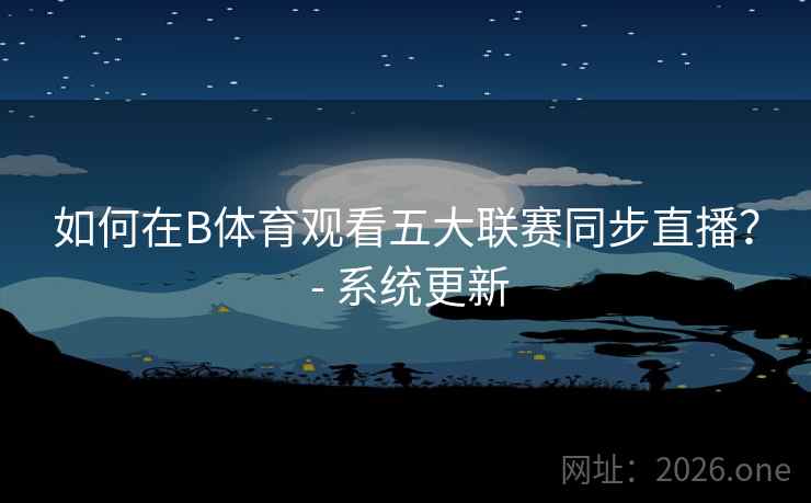 如何在B体育观看五大联赛同步直播？ - 系统更新