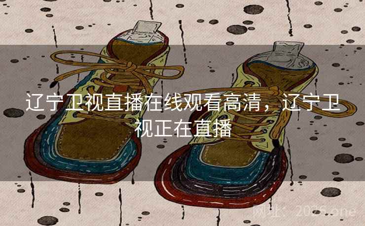 辽宁卫视直播在线观看高清，辽宁卫视正在直播