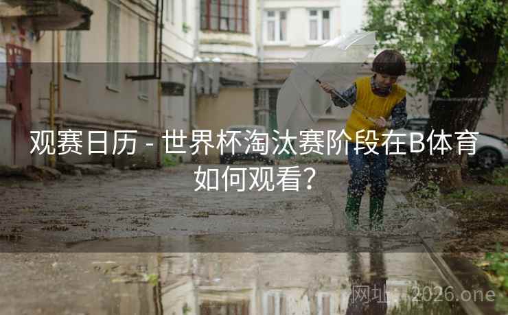观赛日历 - 世界杯淘汰赛阶段在B体育如何观看?