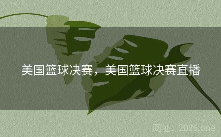 美国篮球决赛,美国篮球决赛直播